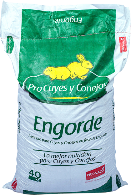 ProCyes y Conejos Engorde