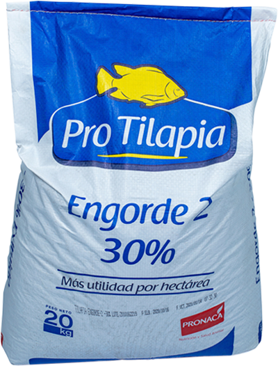 Pro Tilapias Engorde 2