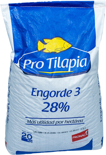 Pro Tilapias Engorde 3