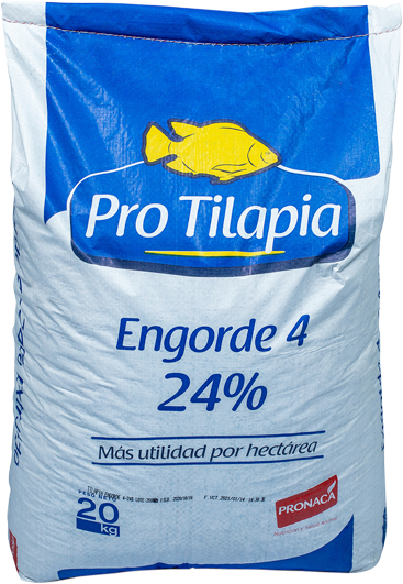 Pro Tilapias Engorde 4